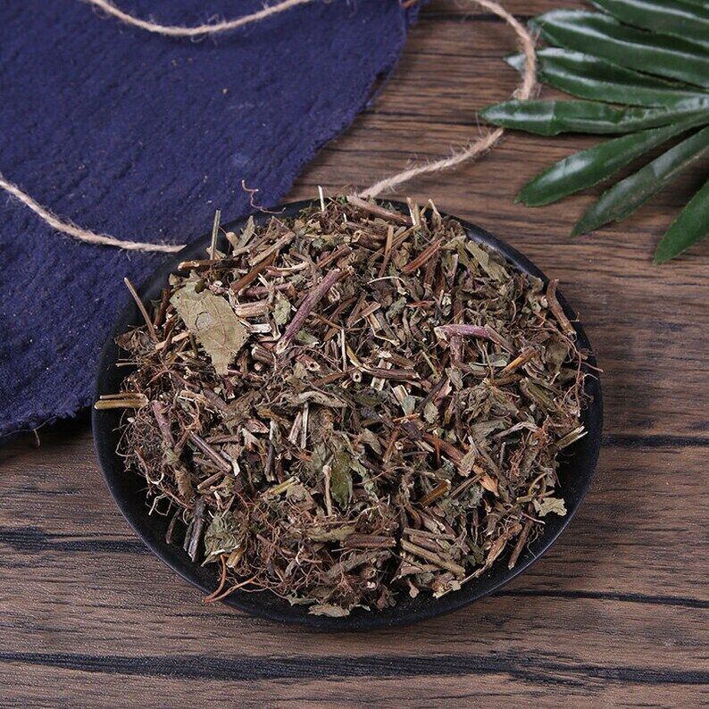 Organic Herbal Cliruo Podium Duanxueliu Clinopodium Chinense Great Quality