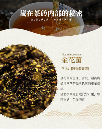 Jingwei Fu Tea Jingyang Shaanxi Fu Brick Tea Black Tea Golden Flower Tea 357g