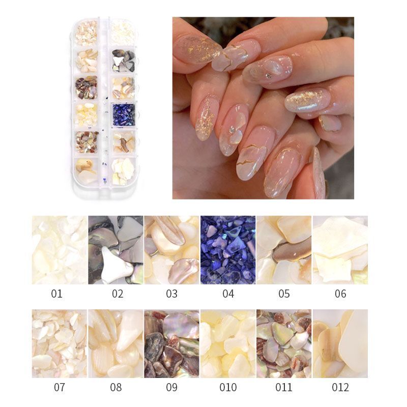 Nail Art Decor 12Design Box 3D Irregular Abalone Seashell Fragment Flakes Charms
