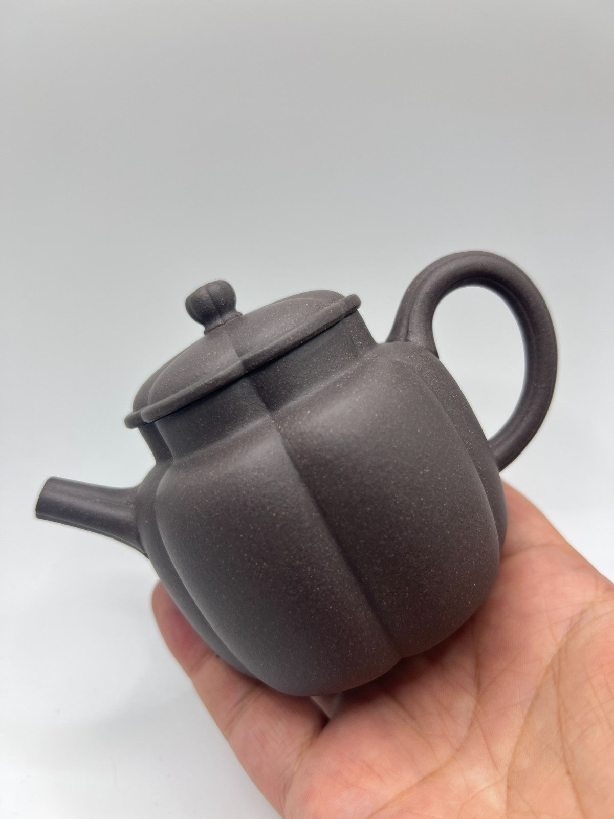 170cc chinese Yixing Handmade Zisha teapot TianQing clay FanHua Gongfu Tea pot