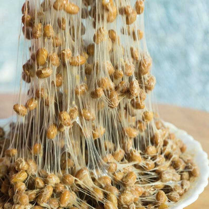 Bacillus Natto for DIY Natto 50g x 3 bags NATTO kin live enzyme spore starter