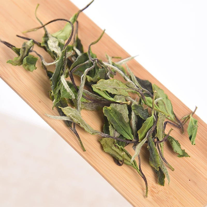 1000g prime Fuding White Tea,First Spring Wild Shou Mei Chinese White Tea