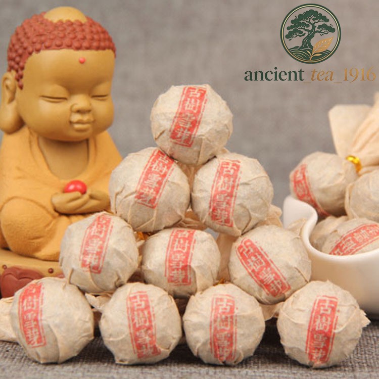 500g Pu'er Raw Tea Mini Tuo Tea Ancient Tree Xueya Dragon Ball Tea