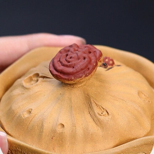 Real Yixing Zisha Duan Clay Tea Pot With Lid 14 Infuser Holes Handmade Craft New