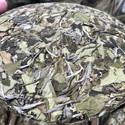 White Peony Tea White Tea Barren Mountain Sun Tea Cake Spring Tea Cake 350g