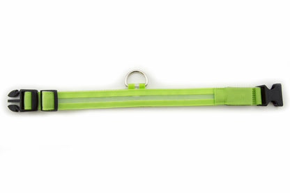 Small Green Light-Up LED Rechargeable Adjustable Pet Collar (Flashing or Steady)