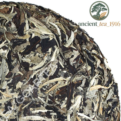 357g 2014 Yunnan Moonlight Beauty White Raw Cake Chinese Puer Pu'er Pu erh Tea