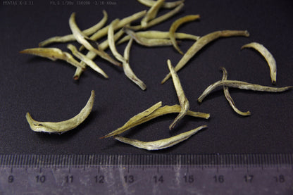China Silver Needle White Loose leaf Tea,China Fujian Bai Hao Yin Zhen tee,1 kg