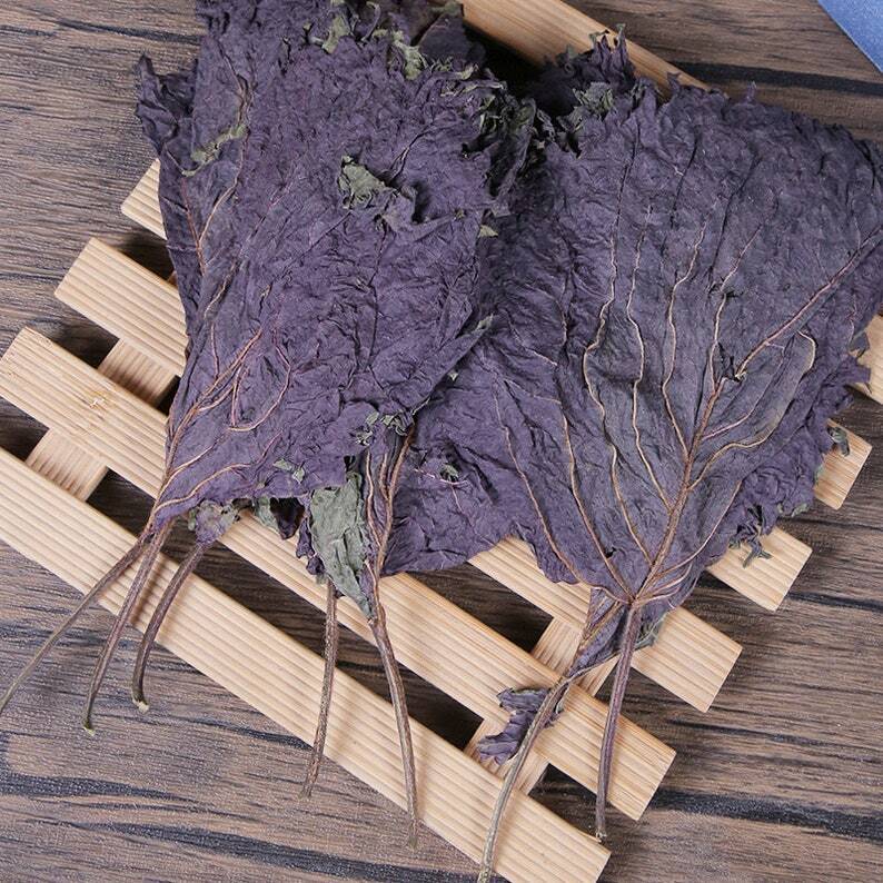 Dried Perilla Leaf Folium Perillae Perilla Frutescens Pure Makes A Healthy Tea