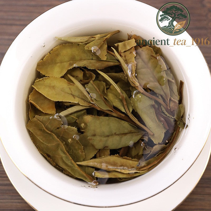 300g 2022 Fuding White Tea High Mountain White Peony White Tea Cake