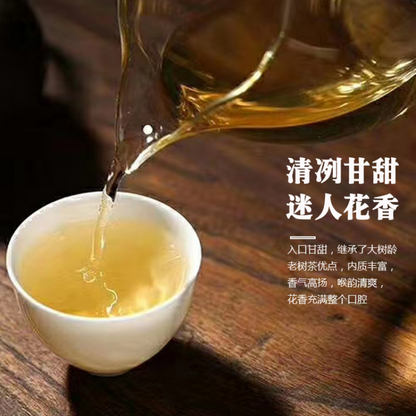357g Yunnan Pu'er Tea Raw Tea Da Xueshan Lincang Ancient Tree Arborvitae
