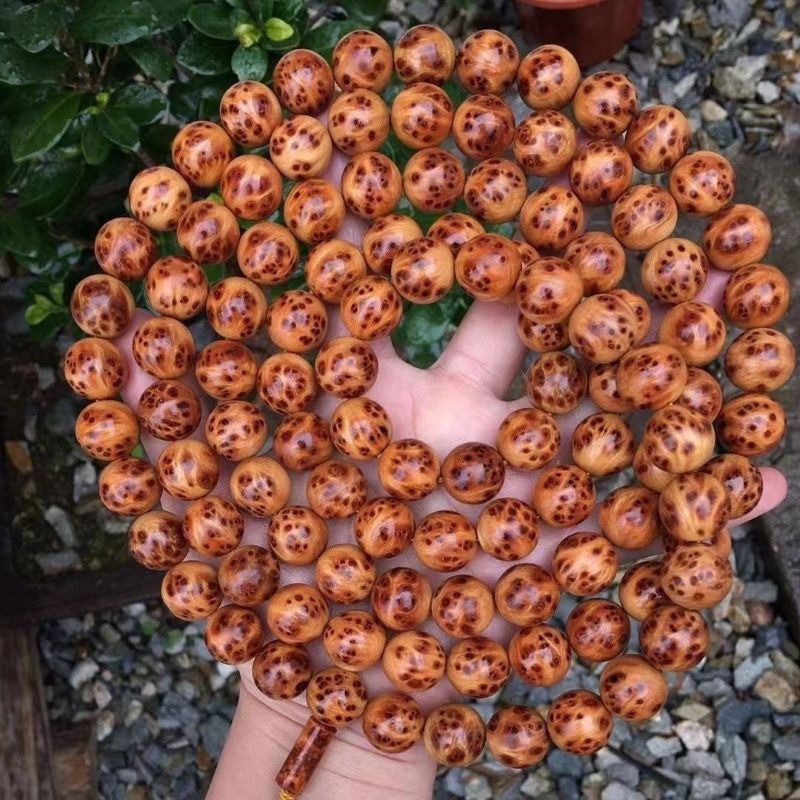 Natural Thuja 108 Beads Bracelet Full Burl Bird Eye 10mm Meditation Mala Gift