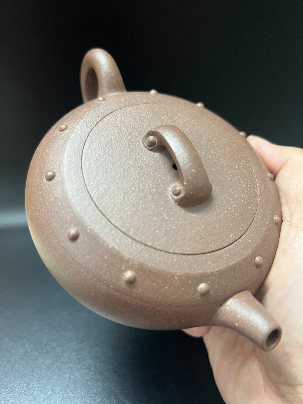 250cc chinese Yixing Handmade Zisha teapot Purple clay BianGu Hu Gongfu Tea Pot