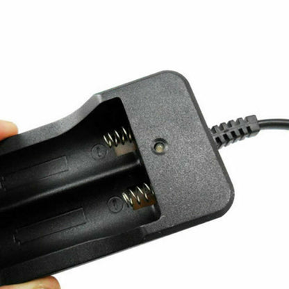 Family Charger Dock and LED Torch Plug Dock For Model 18650 Li-ion Charger Box