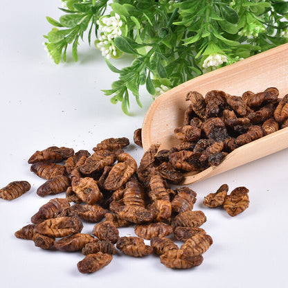 Dried Cicada Chrysalis Dried Silkworm Chrysalis Chinese Herbs 500g/1.1lb