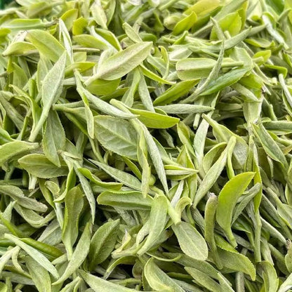 1000gPremium White Tea Competition Grade White Peony Organic Loose Leaf BaiMuDan
