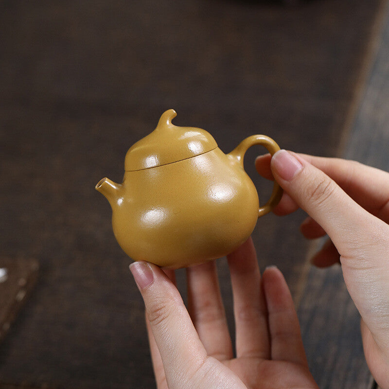 True Yixing Zisha Duan Clay Tea Pot Small Size Chinese Kungfu Pot Handmade China