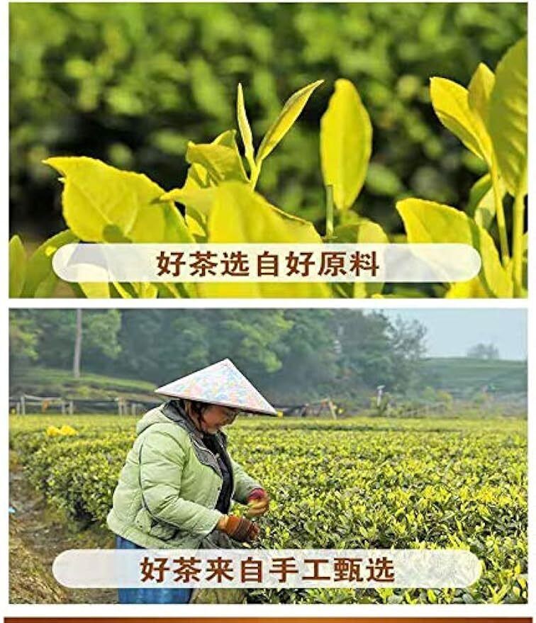 yellow bud tea 1.76 oz huang jin ya tea newly picked and processed tea