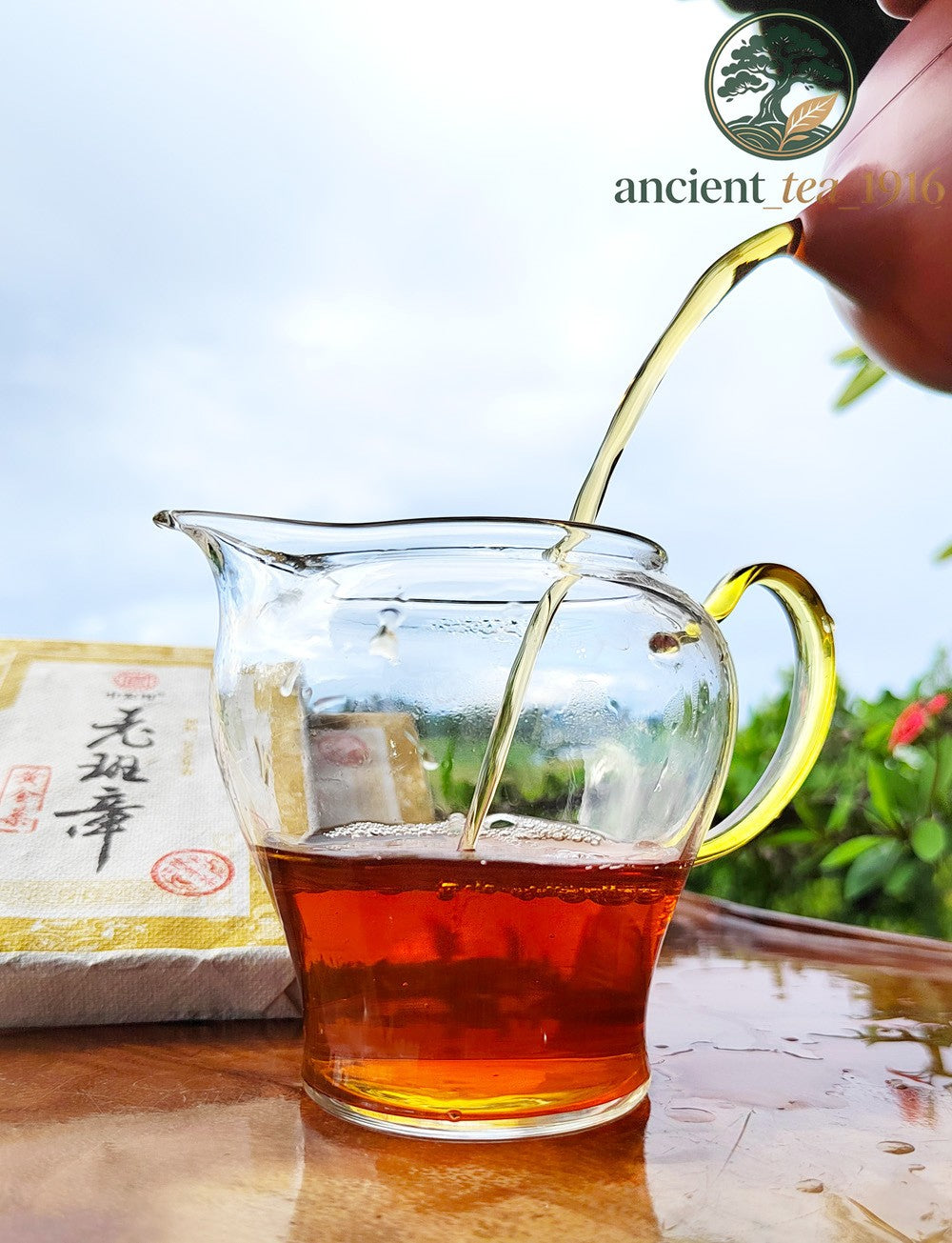 200g 2009 Pu Erh Tea Brick Laobanzhang Aged Pu Erh Raw Tea