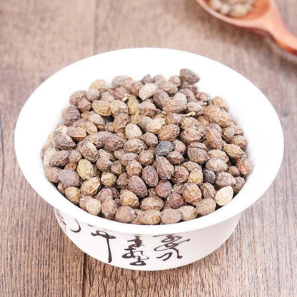 Organic Herbal Java Brucea Fruit Fructus Bruceae Brucea Javanica Great Quality