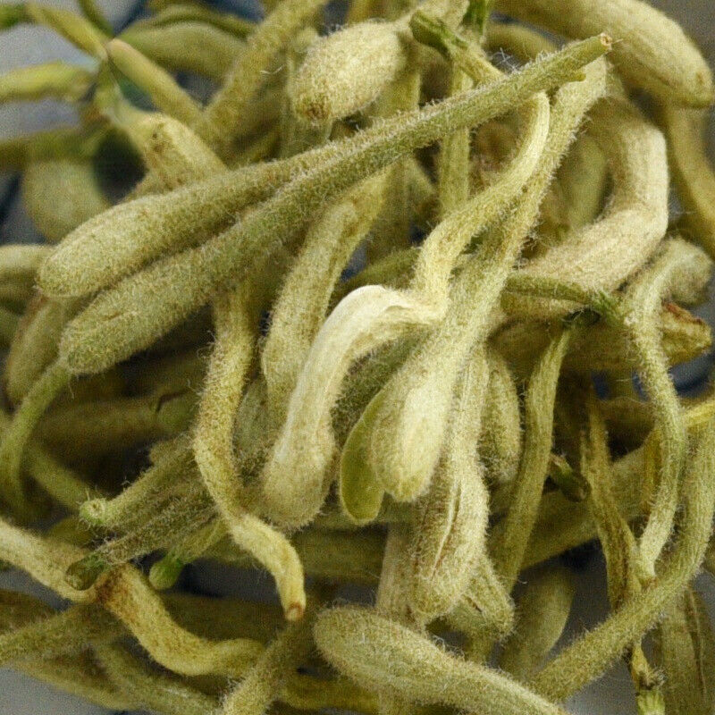Natural Jin Yin Hua Ecology Loose Leaf Tea Organic Honeysuckle Loose Buds Tea