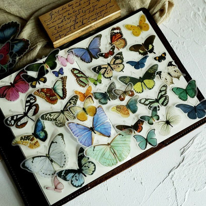 80 Pcs/Lot Butterfly Illustration Vellum Paper Stickers Scrapbooking Decorations