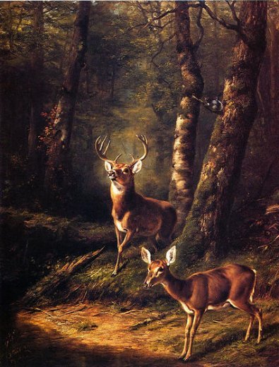 Art oil painting arthur-fitzwilliam-tait-the-forest-adirondacks deer in forest