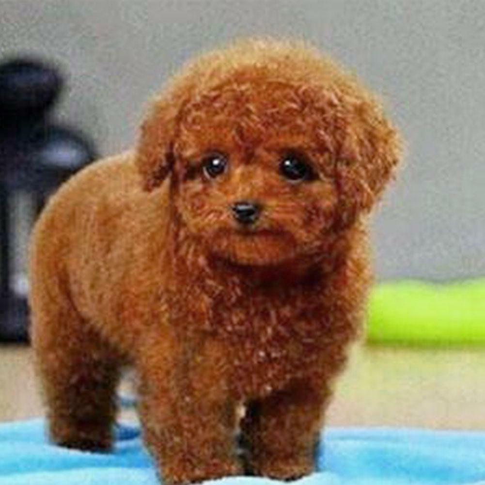 Realistic Teddy Dog Simulation Toy Dog Puppy Lifelike Stuffed Toy