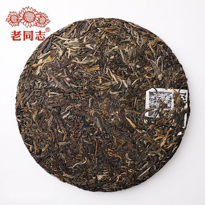 2022 Haiwan Sheng Puer Batch 221 "Remote Mountain, Old Tree" Raw Puerh tea 500g