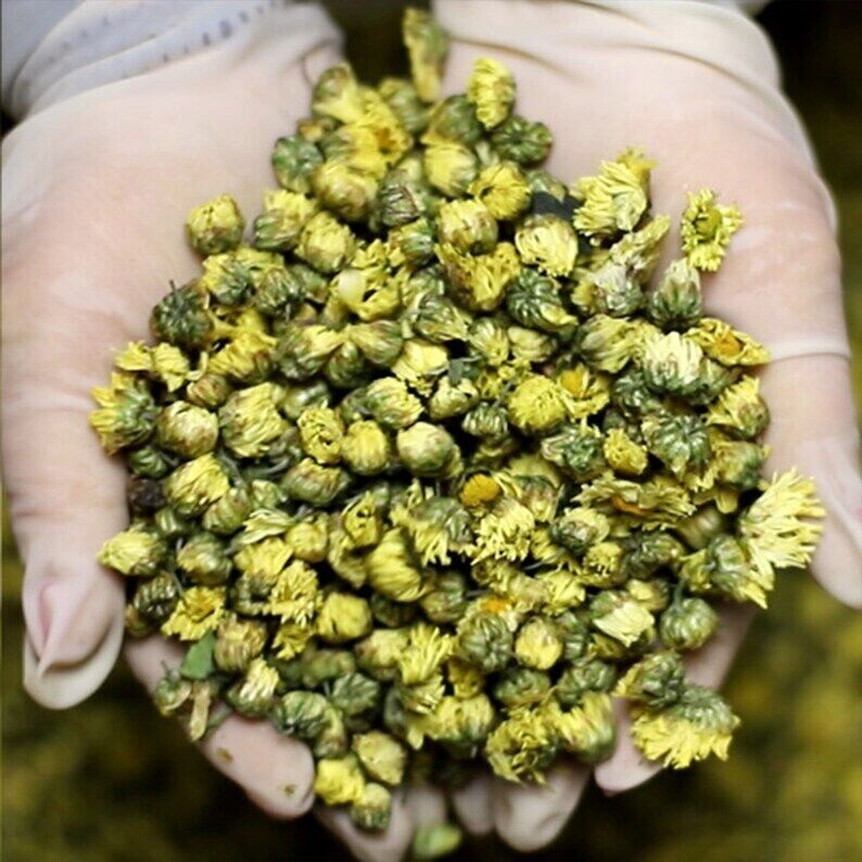 Foetal Chrysanthemum Flower Tea,chinese Flower Tea 500g/17.6oz
