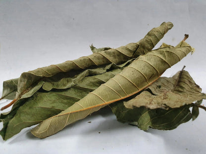 Premium Dried Guava Leaves Loose Leaf Tea - Hojas de Guayaba HELLOYOUNG