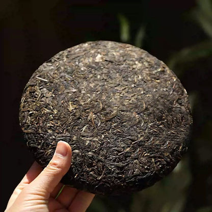 357g Authentic Yunnan Raw Pu'er Tea 2015 Menghai Old Ban Zhang Tea Cake