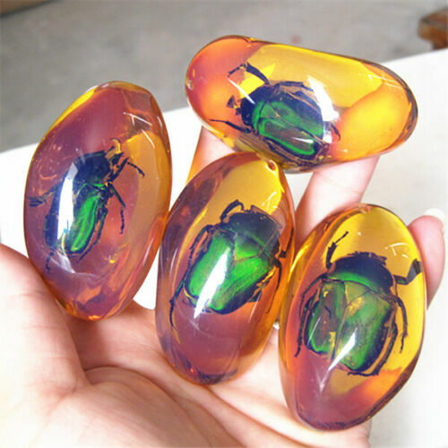 5 Pcs/lot Beautiful Amber Beetle Fossil Insects Manual Polishing Randomly Send.