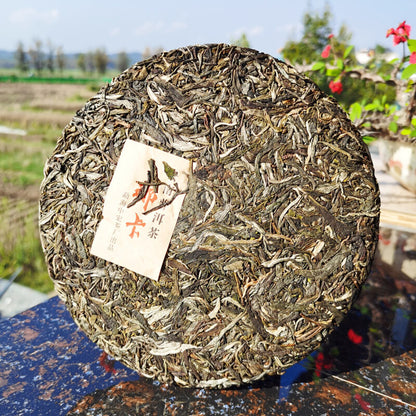 Slimming Green Tea 357g Zhonghongyin Naka Ancient Tree Tea Pu'er Spring Tea
