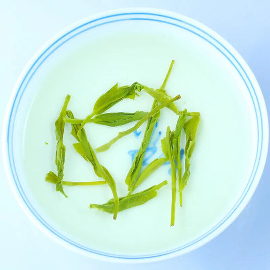 2023 New Fresh Specialty Herbal Green Tea Maojian Top Grade Healthy CareTea 250g