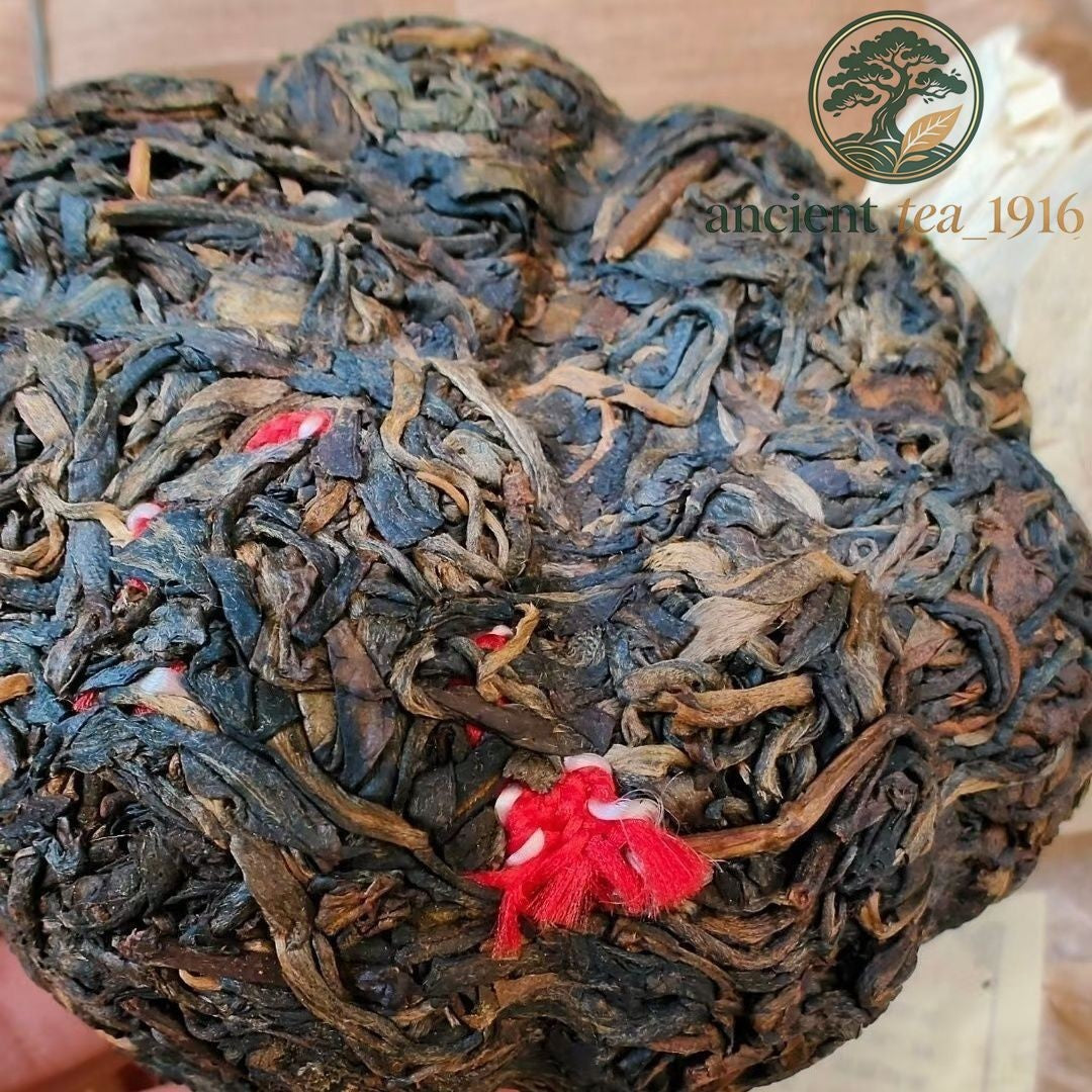 200g Ban Zhang Qiao Mu BANZHANG ARBOR ECOLOGLCAL TEA CAKE Puer Tea Raw