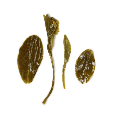 250g Supreme Spring Yunwu Cloud Mist High Mountain Lushan Green Tea Loose