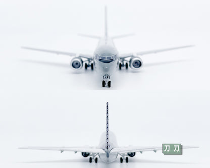 1:400 Panda SpaceX BOEING 737-800 Passenger Airplane Diecast Aircraft Model