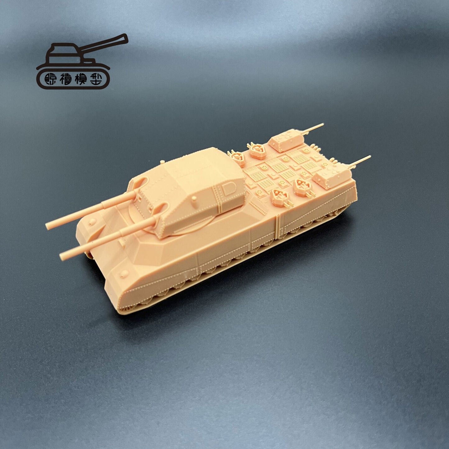 1/300 Giant Rat P1000 Tank Model Finished Product 3d printed Model （not A Toy）