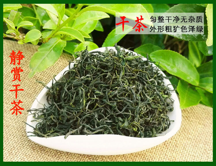 Xinyang Maojian 2024 Green Tea loose-leaf tea Authentic rain Spring Tea 500g