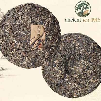 357g 2022 LaobanZhang Pu'er Raw Tea Cake