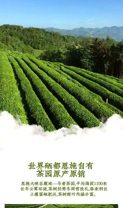 Enshi selenium tea fried green tea strong aroma high mountain cloud green tea