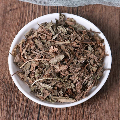 Natural Herbal Plantaginis Pure Plantain Herb Plantago Asiatica Great Quality
