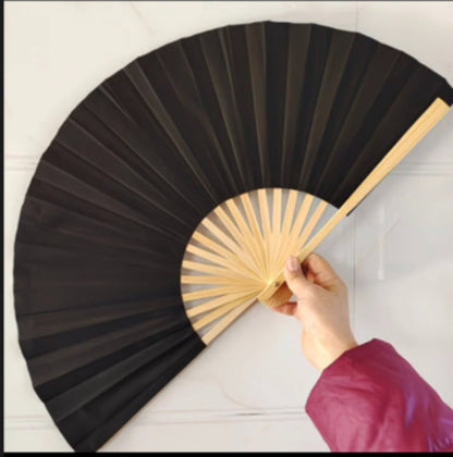 Tai Chi Kung Fu Fan
