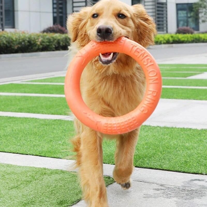 Dog Flying Disc Frisbee Discs Ring Bite Resistant Interactive Pet Training Toy