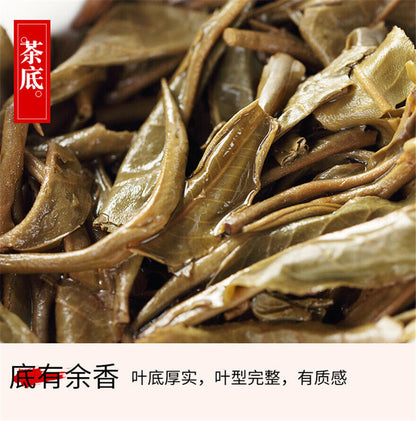Mother Tree Tea * 2013 The Ancestor of Mengku Big Leaf Raw Puer Pu'er Tea 500g