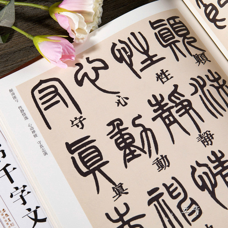 1pc Seal Character Calligraphy Copybooks Chinese Calligraphy Copybook