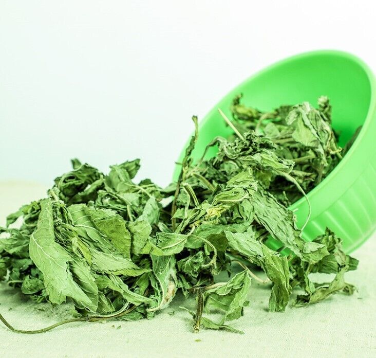 Mint Leaves Dried Peppermint Tea Herbal Pure Peppermint Natural Tea 500g/1.1LB