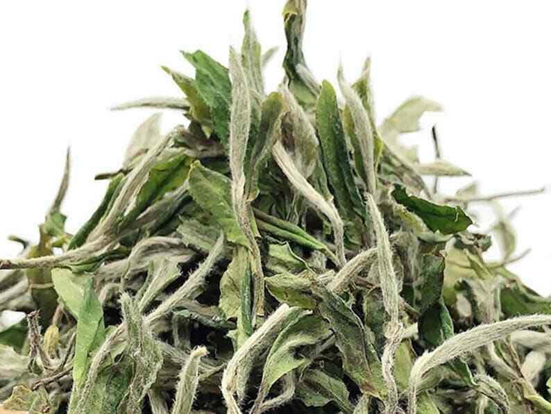 White Peony Tea,Potherb Teas,dried White Peony Tea, Chinese White Peony Teas