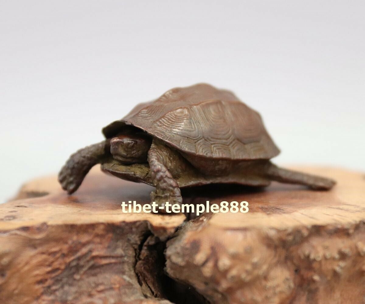 2.16" Chinese Pure Bronze Amulet Tortoise Turtle longevity Fengshui Sculpture